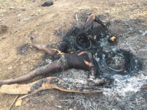 Information coming in is that students are burnt at the university gate,  Federal University of Agriculture Makurdi (FUAM) this night.