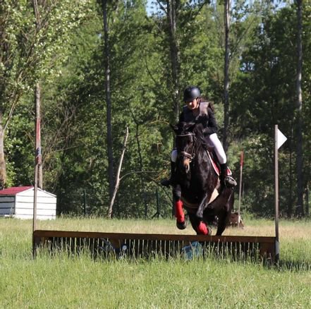 Chateau Gontier Stephanie Cheval Coppin Soigne Les Chevaux Par L Acupuncture Opera News