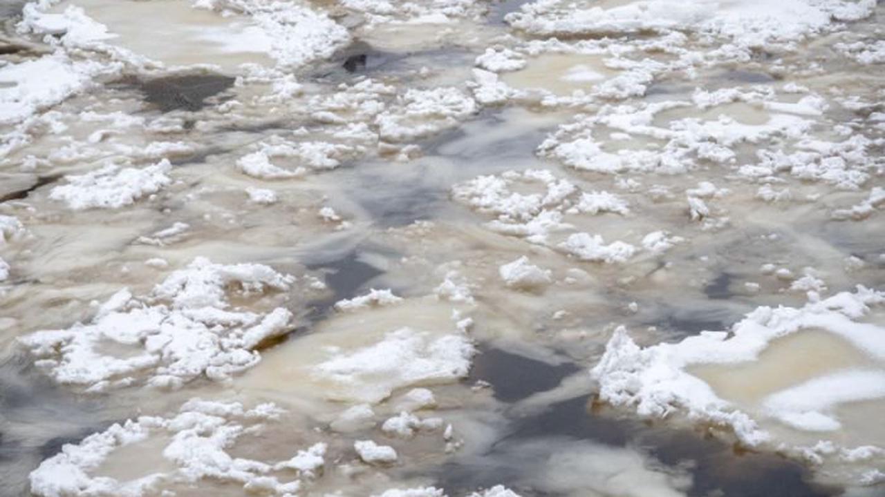 РПЦ: Крещенские купания в реке Оредеж, где погибла женщина, не были согласованы