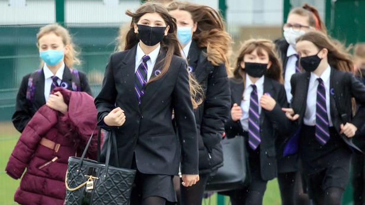 Primary schools hit with Covid outbreaks despite falling infection rates
