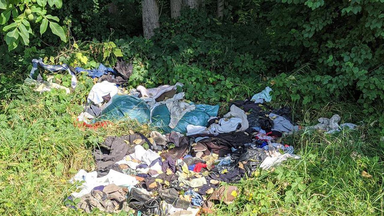 Saint-Martin-de-Lerm : Les élus excédés par les dépôts d’ordures sauvages