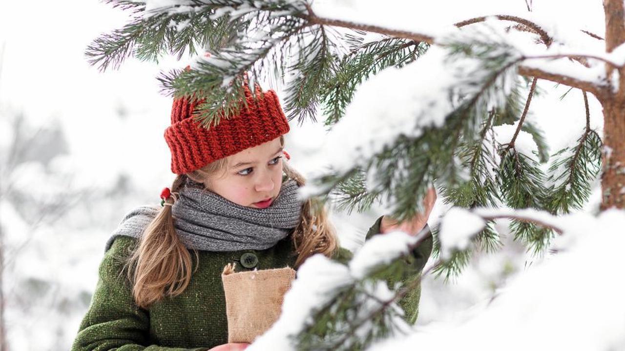 „Weihnachten im Zaubereulenwald“: Heile Welt mit Holzhammer