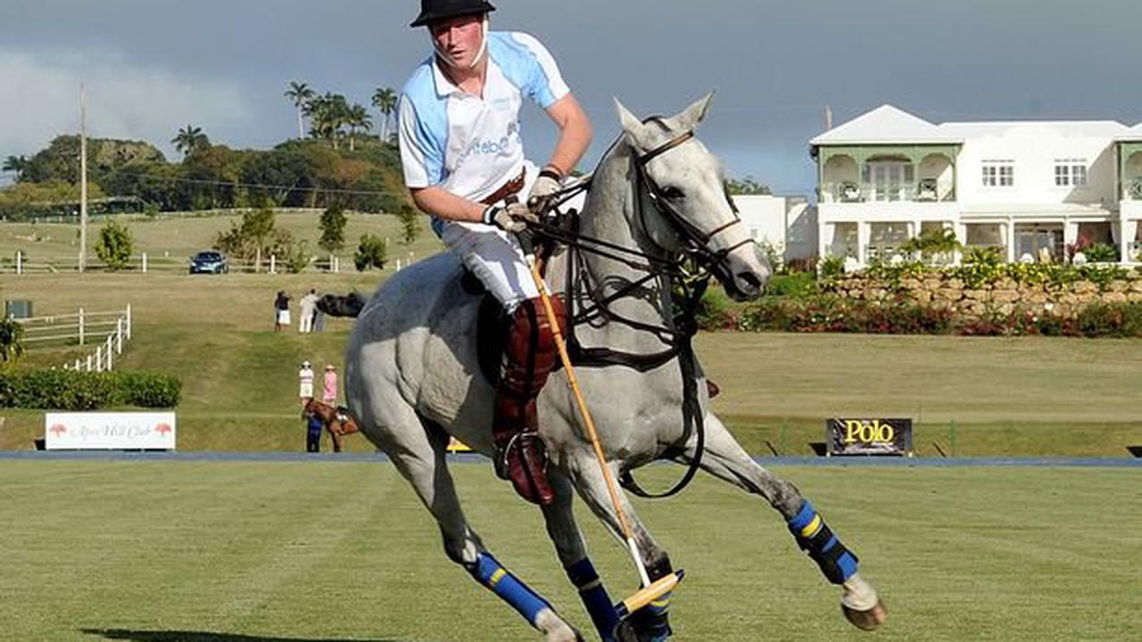 Prince Harry at home in 'cool' US polo team as he's treated ‘like one of the guys’