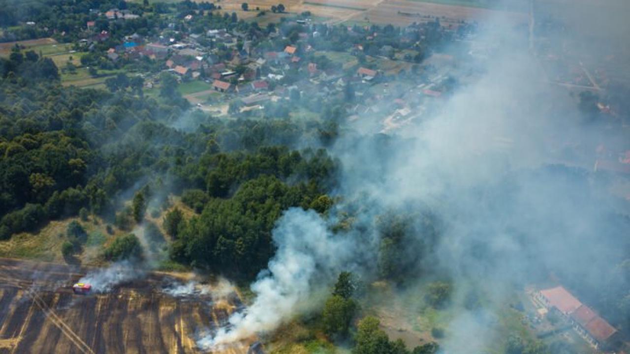 Weggeworfene Kippe führt zu Millionenbrand in Baden-Württemberg