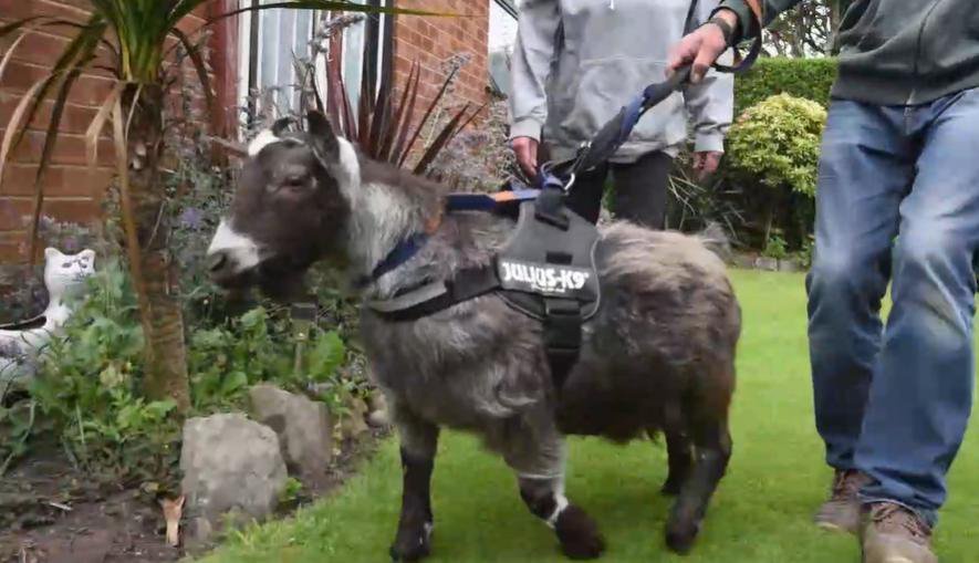 Yard Goats Schedule 2022 Yard Goats Release Full Schedule For 2022 - Opera News