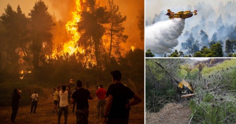 Firefighting plane crashes on Greek island, pilot survives (photos)