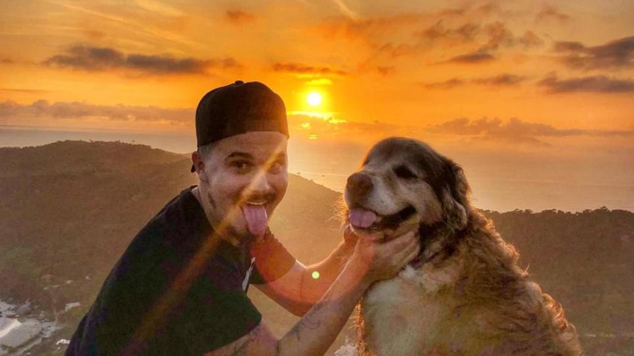 Man, 29, whose dream was to travel from Brazil to Alaska in his 1978 Volkswagen Beetle accompanied by his Golden Retriever, dies along with his beloved pooch in head-on crash just two days from finish line
