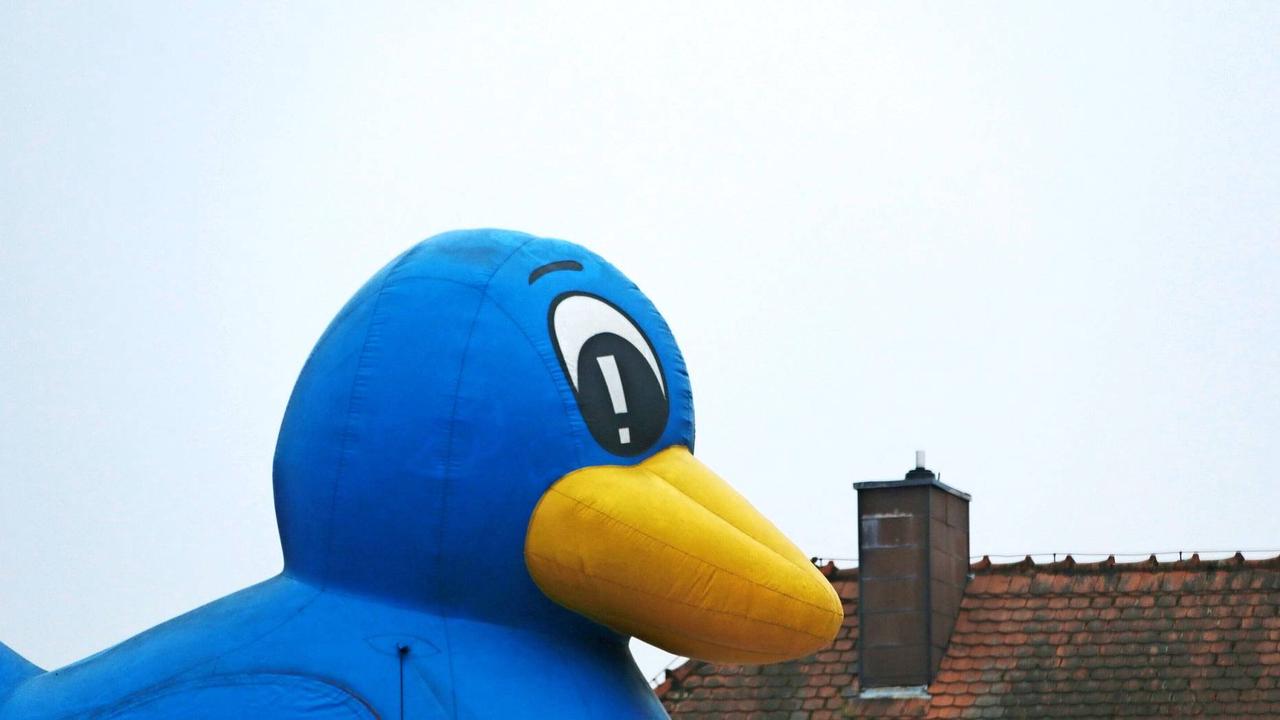 Rätseln Sie mit!: Die wohl größte Ente Zweibrückens