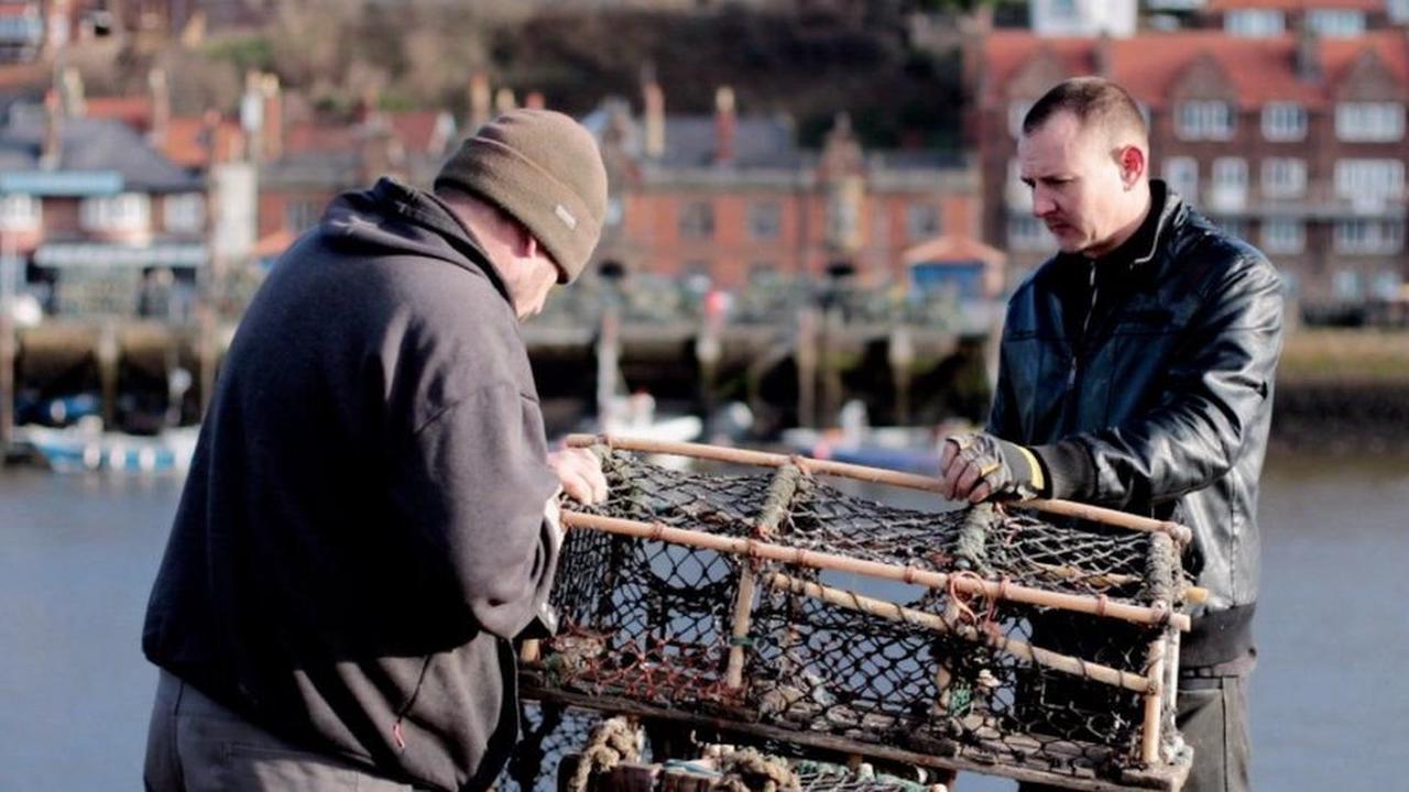 North East fishing trade hit by mystery shellfish deaths