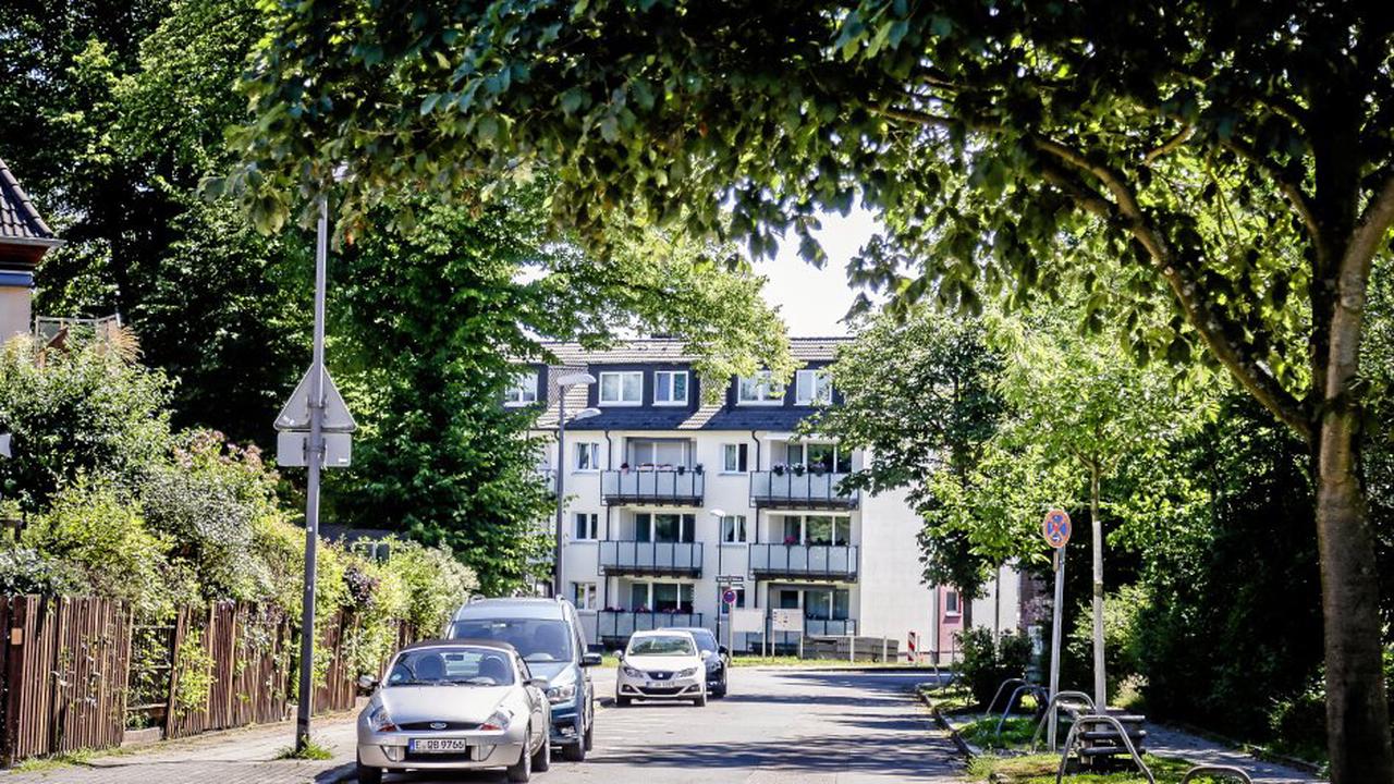 Parkdruck in Essen: Stadt lehnt Flächen zwischen Bäumen ab