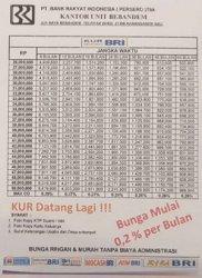 Tabel Angsuran KUR BRI.