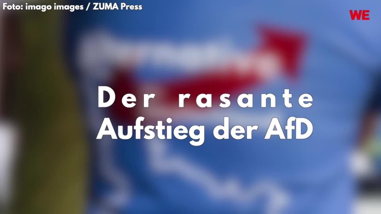 AfD: Jörg Meuthen verliert Immunität