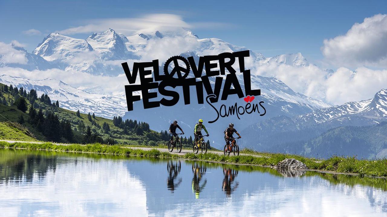 Offre de stage : Assistant(e) Communication - Vélo Vert Festival