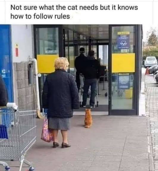 27b84a517449a94812df629ef2c8fc44?quality=uhq&format=webp&resize=720&watermark=true