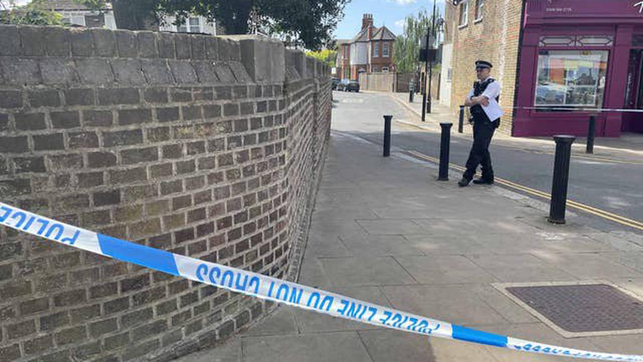 Man charged with murder over fatal stabbing of woman in west London alleyway