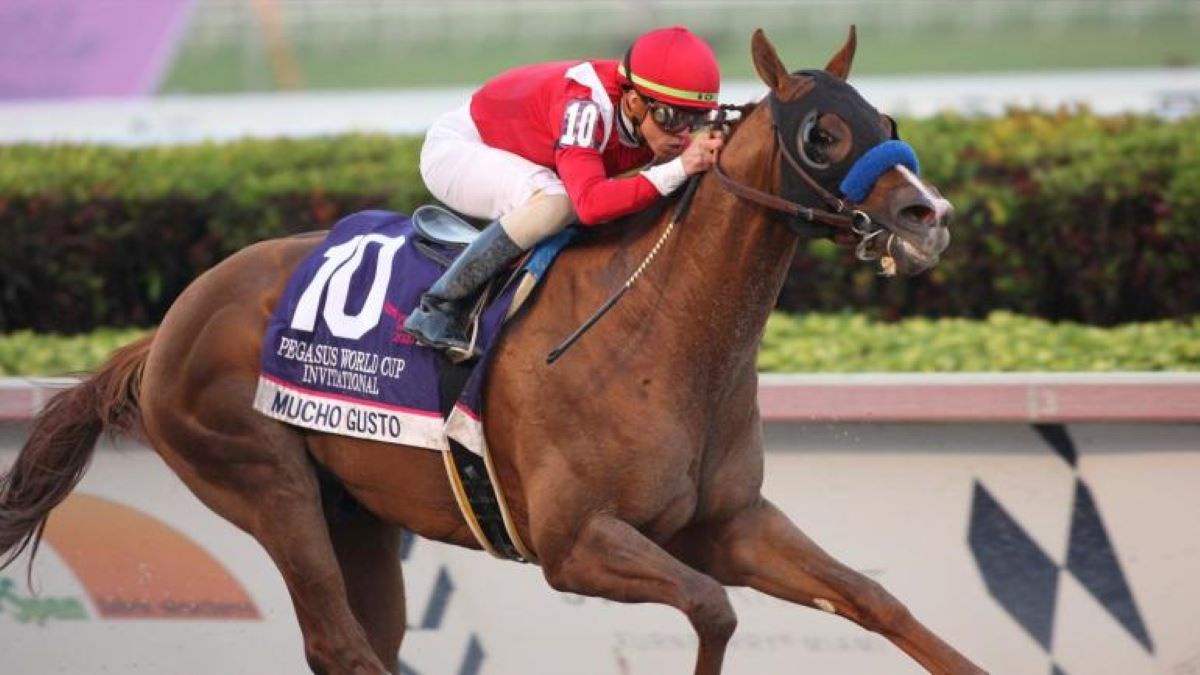 Gulfstream Equibase Entries | Horse Racing Entries, Results, and Stakes ...
