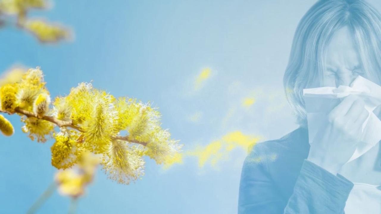 Biowetter heute in Düren und Umgebung: Pollenflug aktuell und witterungsbedingter Einfluss auf Ihr Wohlbefinden