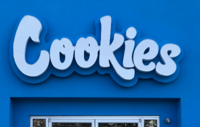 Cookies Bernie Hana Butter Strain A Potent Choice for Even the Most