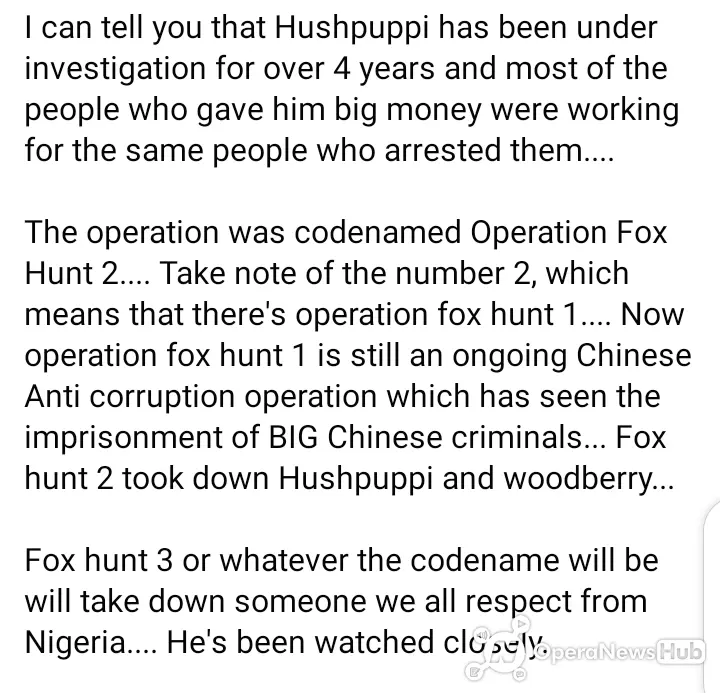 a nigerian cyber-security expert expresses his shock as nigerians believe hushpuppy is a hacker - 2a9f43c2f8009ac794e81ec647cf212c quality hq format webp resize 720 watermark true - A Nigerian cyber-security expert expresses his shock as Nigerians believe Hushpuppy is a hacker