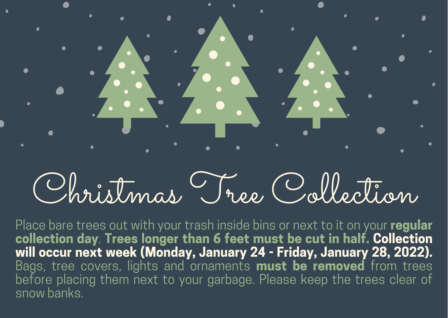 Christmas Tree Recolection 2022 Christmas Tree Collection - Opera News
