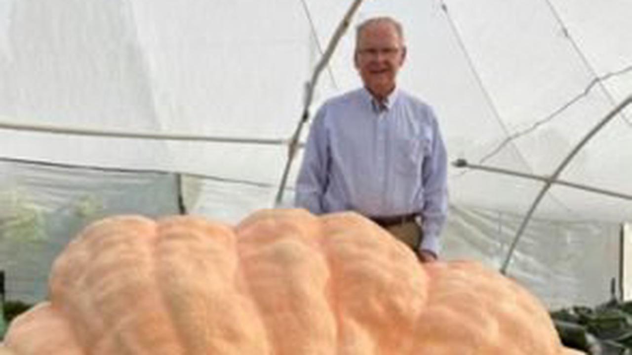 Utah man has sights on a record-breaking pumpkin