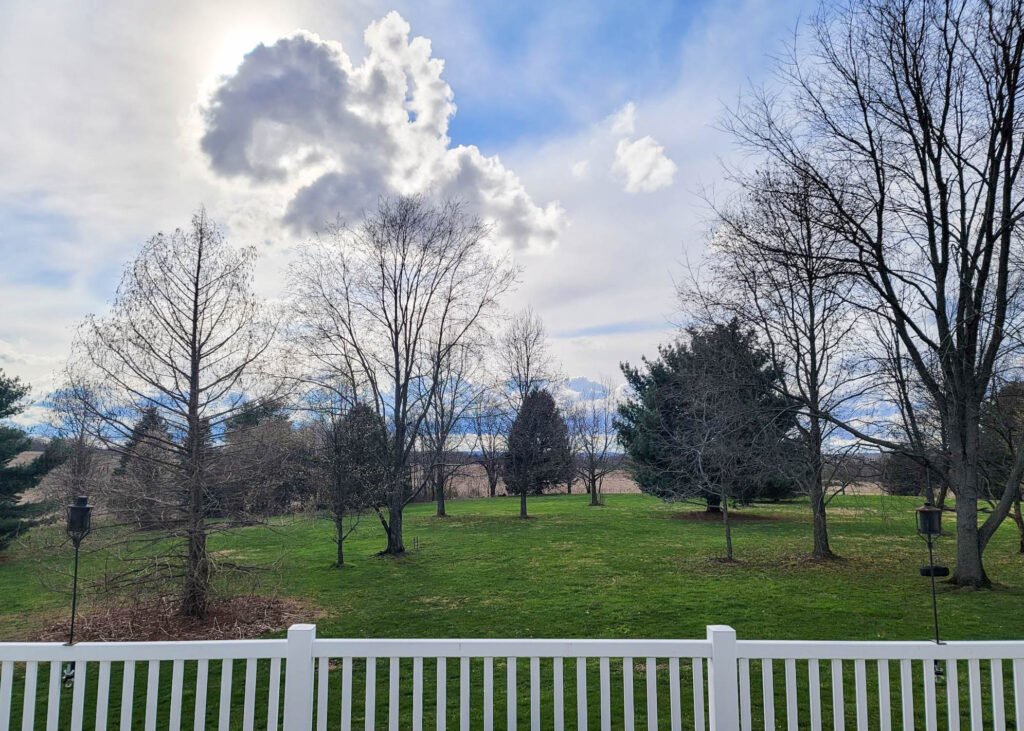 The Little Things Newsletter #307 – Life, laughter, and lots of great food!  - Opera News