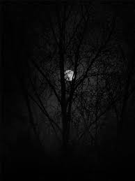 greatgospelmusic.com.ng