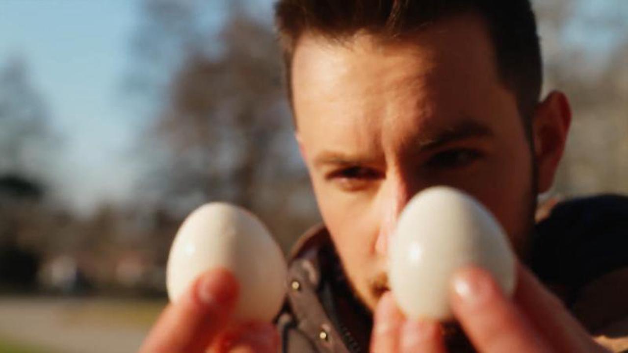 Veganes Ei braucht gar kein Huhn mehr!
