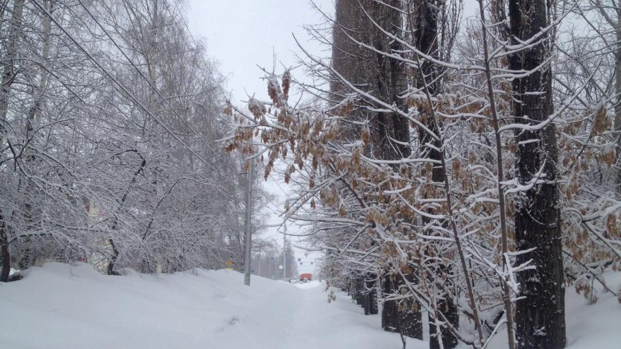Синоптики предупредили о возращении снегопадов в Башкирии