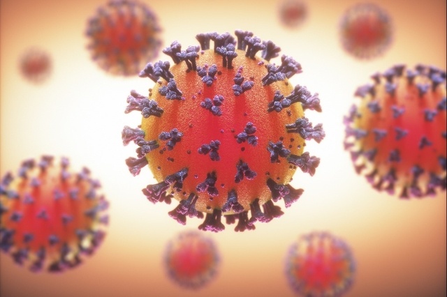 Si le coronavirus est un voleur et notre corps une maison, les scientifiques viennent de découvrir comment notre porte d'entrée est crochetée.