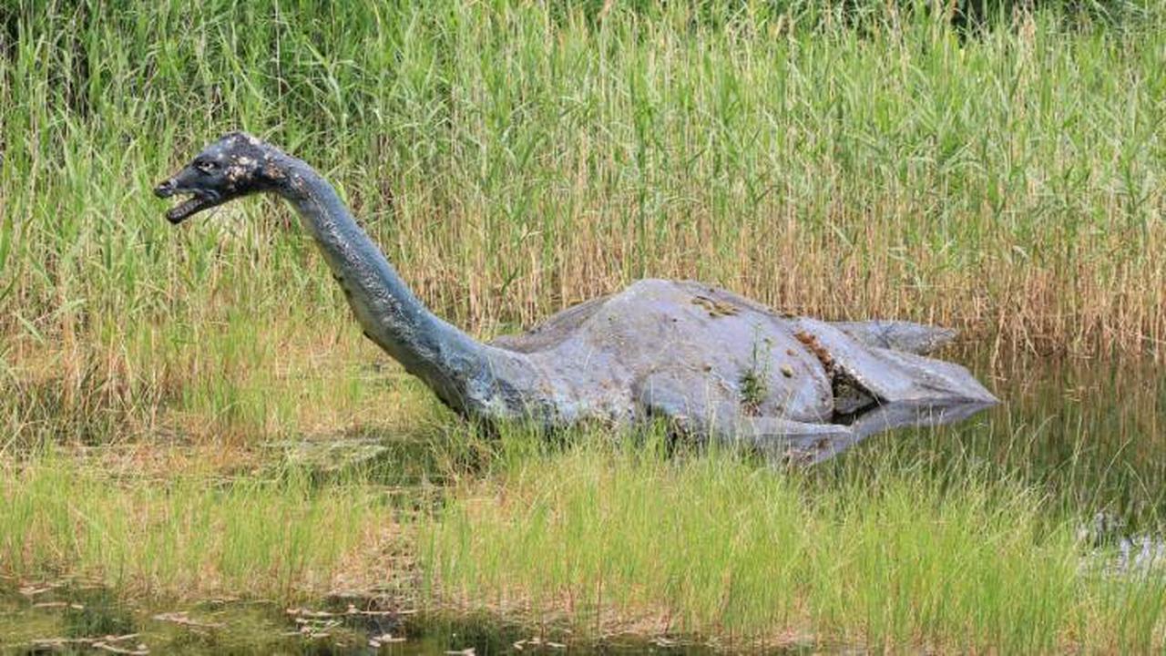 Monster von Loch Ness: Neues Bild von Nessie? Seeungeheuer in London gesichtet