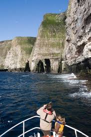 3238896cd7e704ec3857f0e960b899b1?quality=hq&format=webp&resize=720&watermark=true