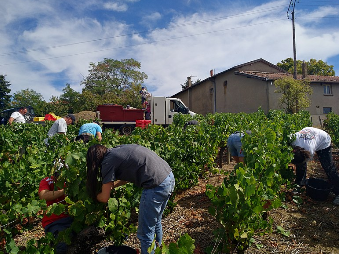 Droit Travail Des Controles Europeens Sur Les Detaches Et Saisonniers Petites Affiches Des Alpes Maritimes Annonces Legales Appels D Offres Ventes Aux Encheres Opera News