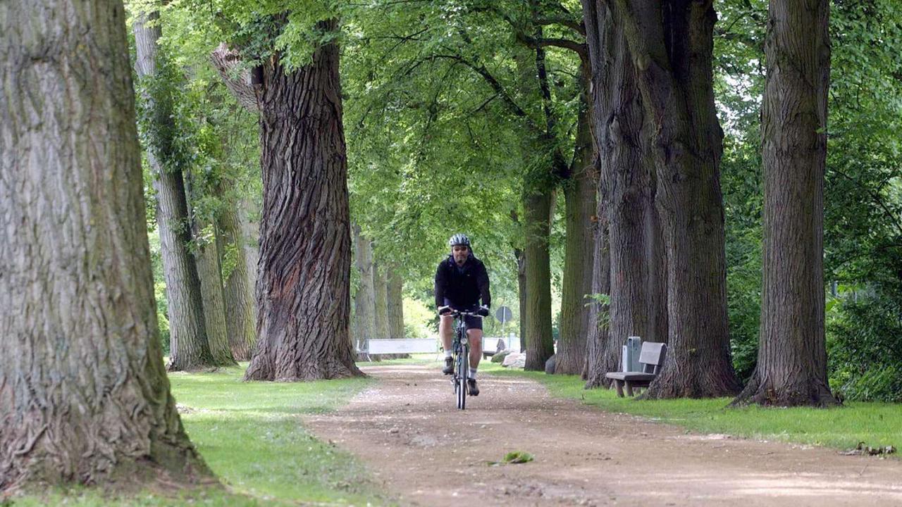 Hattersheim: 1000 neue Bäume für das Mikroklima