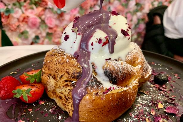 By ali cocoa Katz, D.L.,