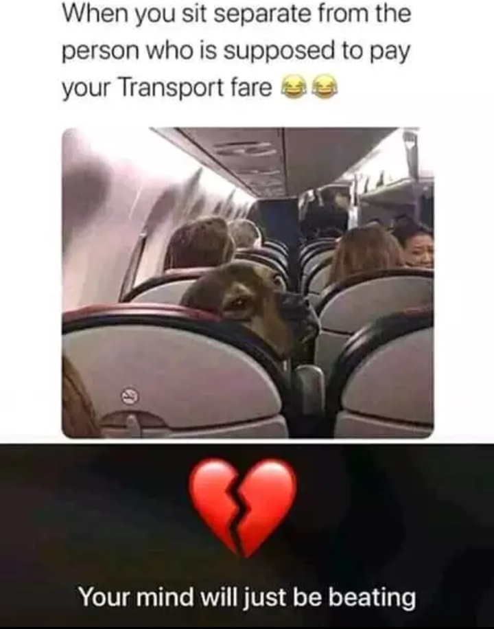 35c397b42903f72ce0a1f363446fad75?quality=uhq&format=webp&resize=720&watermark=true