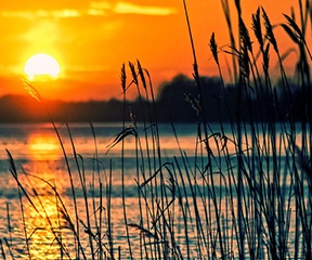 N-Power Speaks On When October Stipend Will Be Paid