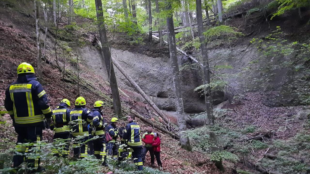 Feuerwehr befreit das Tier: Jungrind stürzt Tobel in Kempten hinab - Kempten