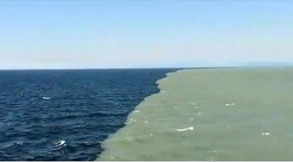 Pacific Ocean Opera News Kenya