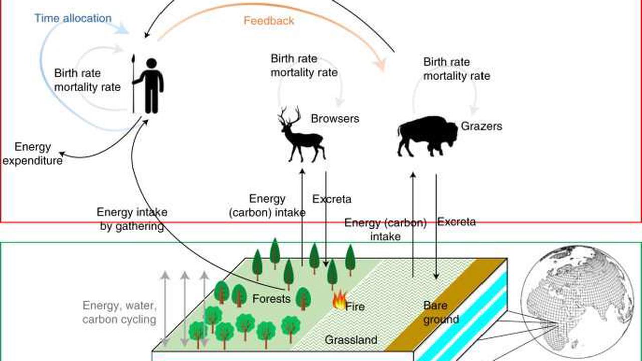 Meat-Heavy Diets Restricted Hunter-Gatherer Population Sizes