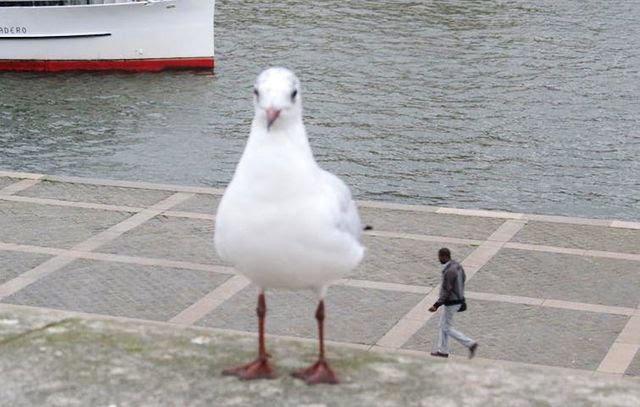 38045b6c4306c8e0295c7d88c717e1f1?quality=uhq&format=webp&resize=720&watermark=true