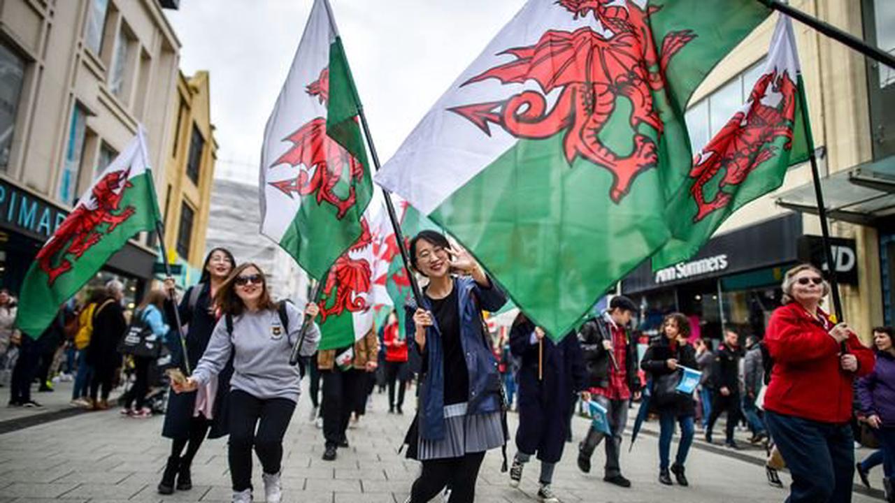 Welsh council grants workers a day off for St David's Day