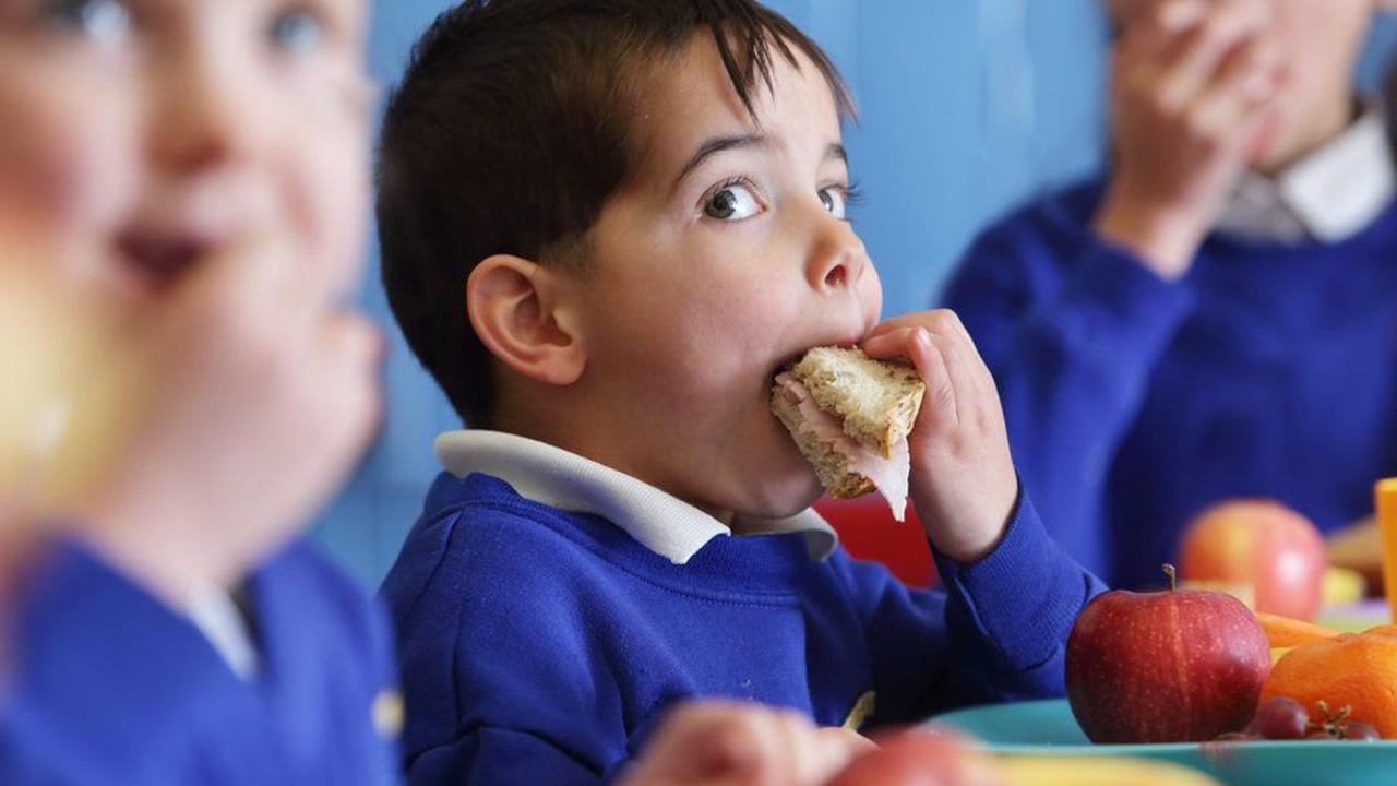 Will my child get free school meals this year?