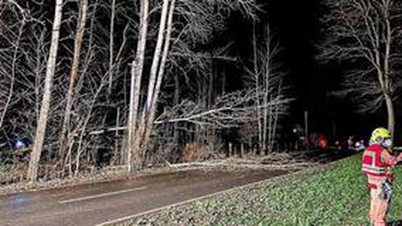 Sturm in der Prignitz: Stromausfall in Glöwen – Bäume stürzen um