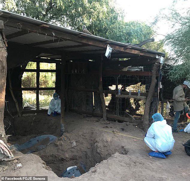 Missing Mexican model is discovered buried in a secret mass grave after being kidnapped by a gang two months ago (photos)