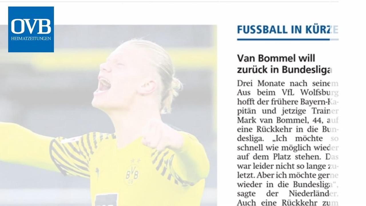 Van Bommel will zurück in Bundesliga Newcastle an Gosens interessiert