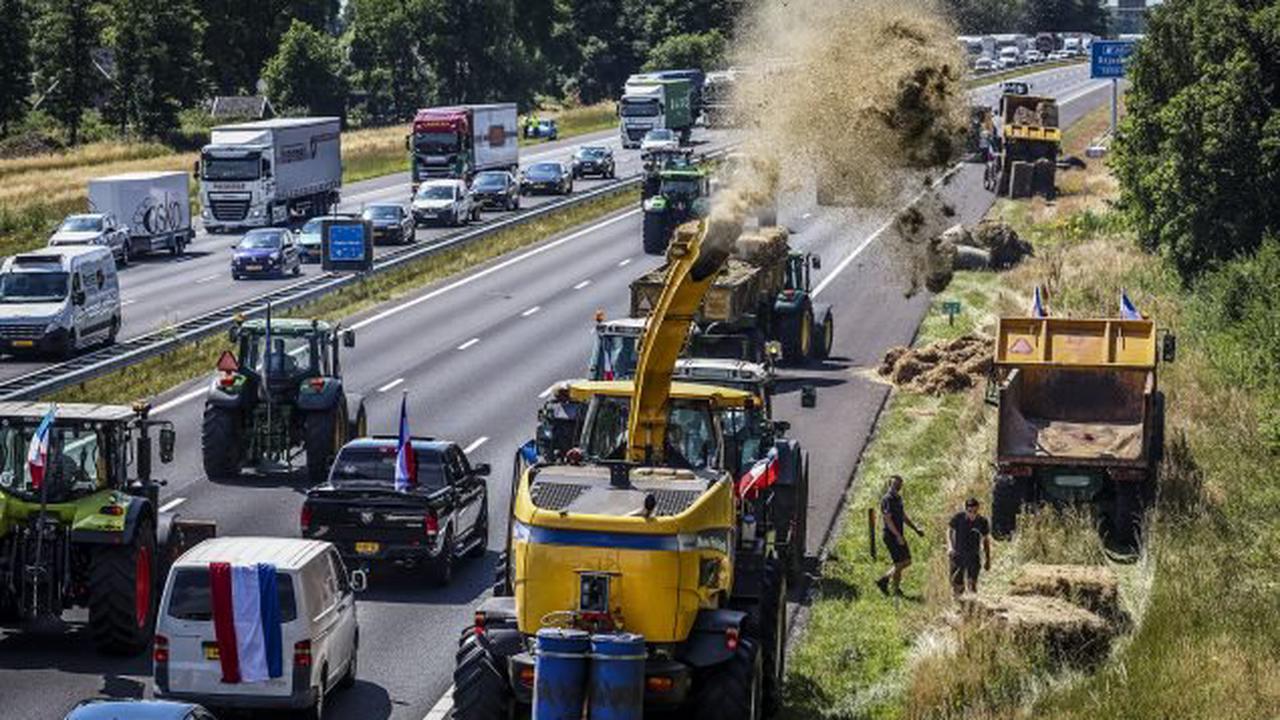 Neue Stickstoffnormen – Niederländische Bauernproteste sorgen in Flandern für Besorgnis