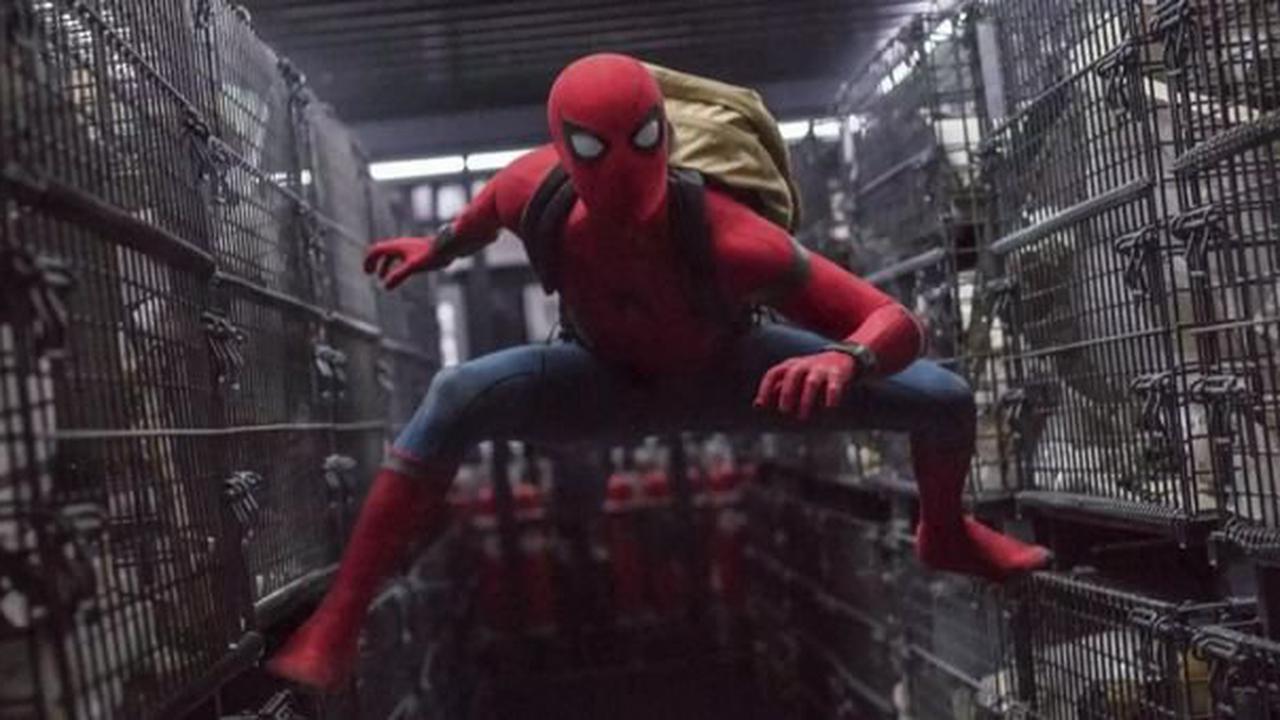 Marvel-Hammer: Spider-Man und Venom schon bald auf Disney+