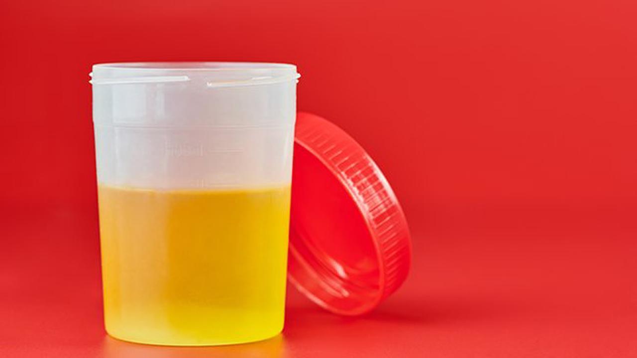 Utiliser l'urine comme engrais au jardin potager