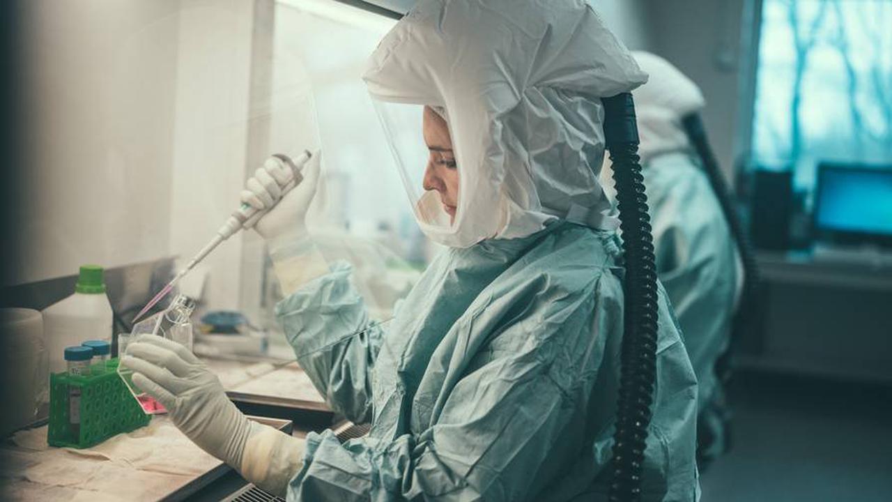Affenpocken: Hinweisen auf mögliche Kontakte in NRW - Erster Patient mit milderer Virusvariante infiziert
